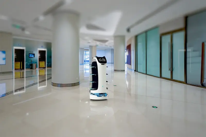 Bellabot entreprises et applications