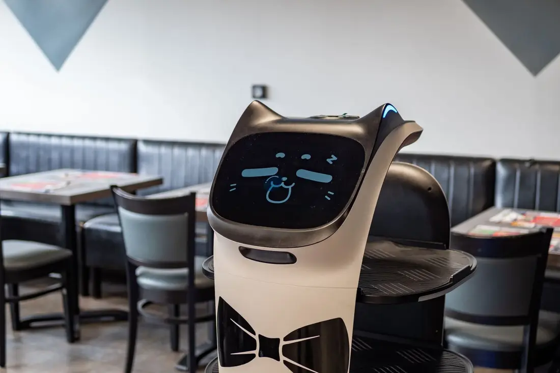 Les avantages de Bellabot​