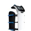 Les principales caractéristiques du BellaBot